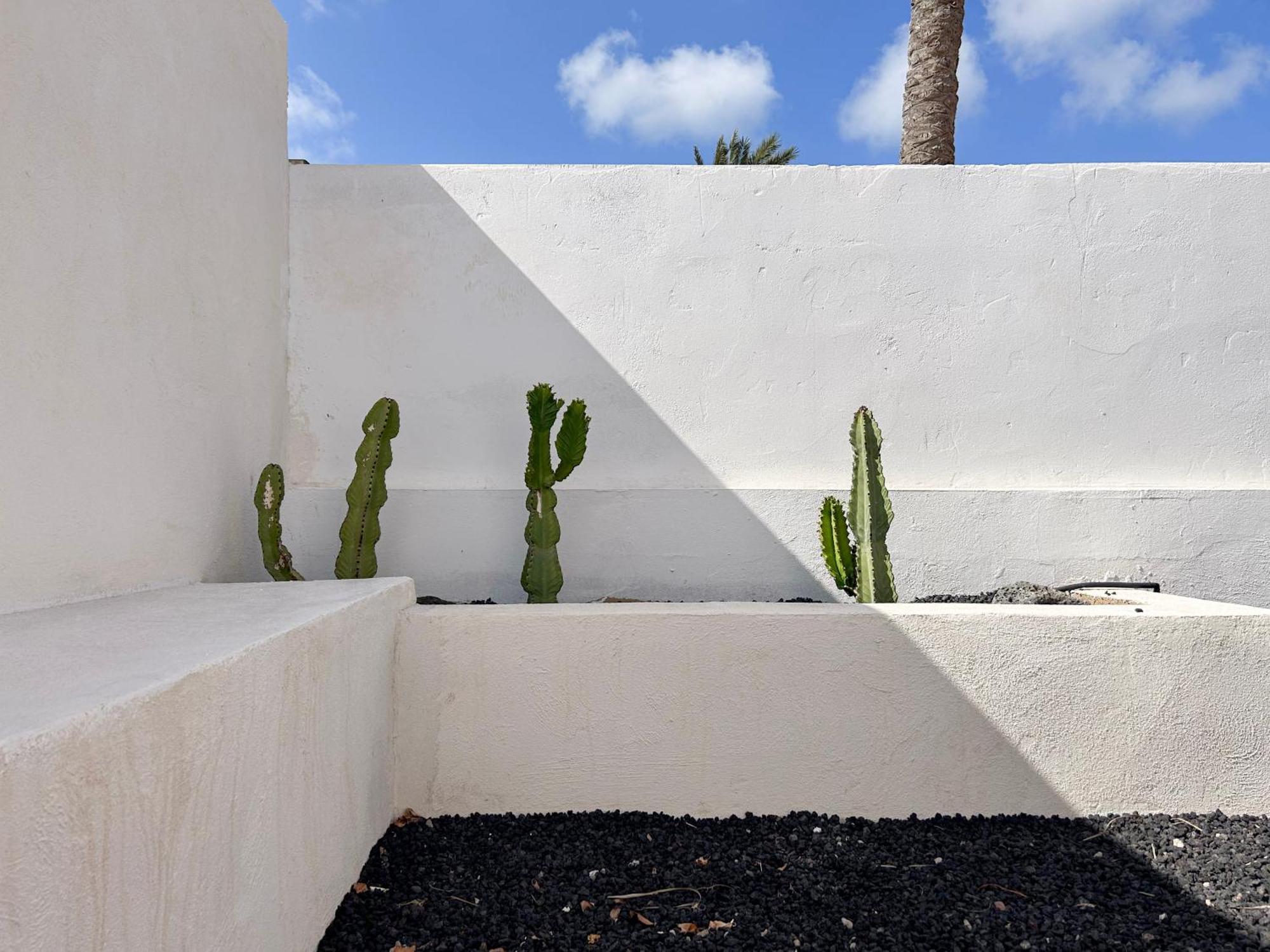 House Boho Palm With Private Heated Pool And Garden, 3 Bedrooms, Wi-Fi Κοραλέχο Εξωτερικό φωτογραφία
